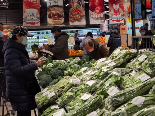 首农食品节盛大启幕，惠民与环保并行 500种商品让利三成，农业绿色技术护航