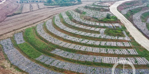 农业面源污染防治见实效，2021年重庆化肥农药使用量均同比减少