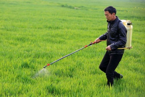 粮食作物病虫害预计激增24%，农业面源与重金属污染防治技术亟待强化