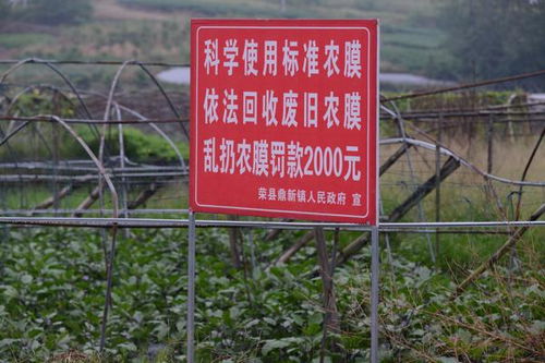 荣县强化农业面源污染治理，回收农业废弃物700吨