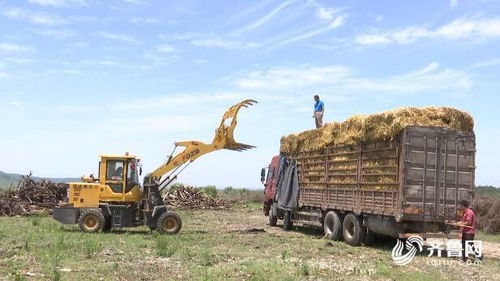 潍坊市深入推进农业面源和重金属污染防治技术服务，助力农业高质量发展