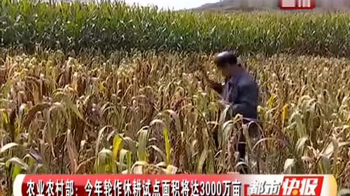 农业农村部推进3000万亩轮作休耕试点，助力农业面源与重金属污染治理