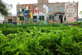 废弃工厂变身休闲农园 农业面源与重金属污染治理的创新实践